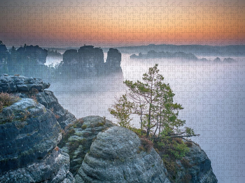 Sächsische Schweiz - Nebel über dem Wehlgrund bei Rathen