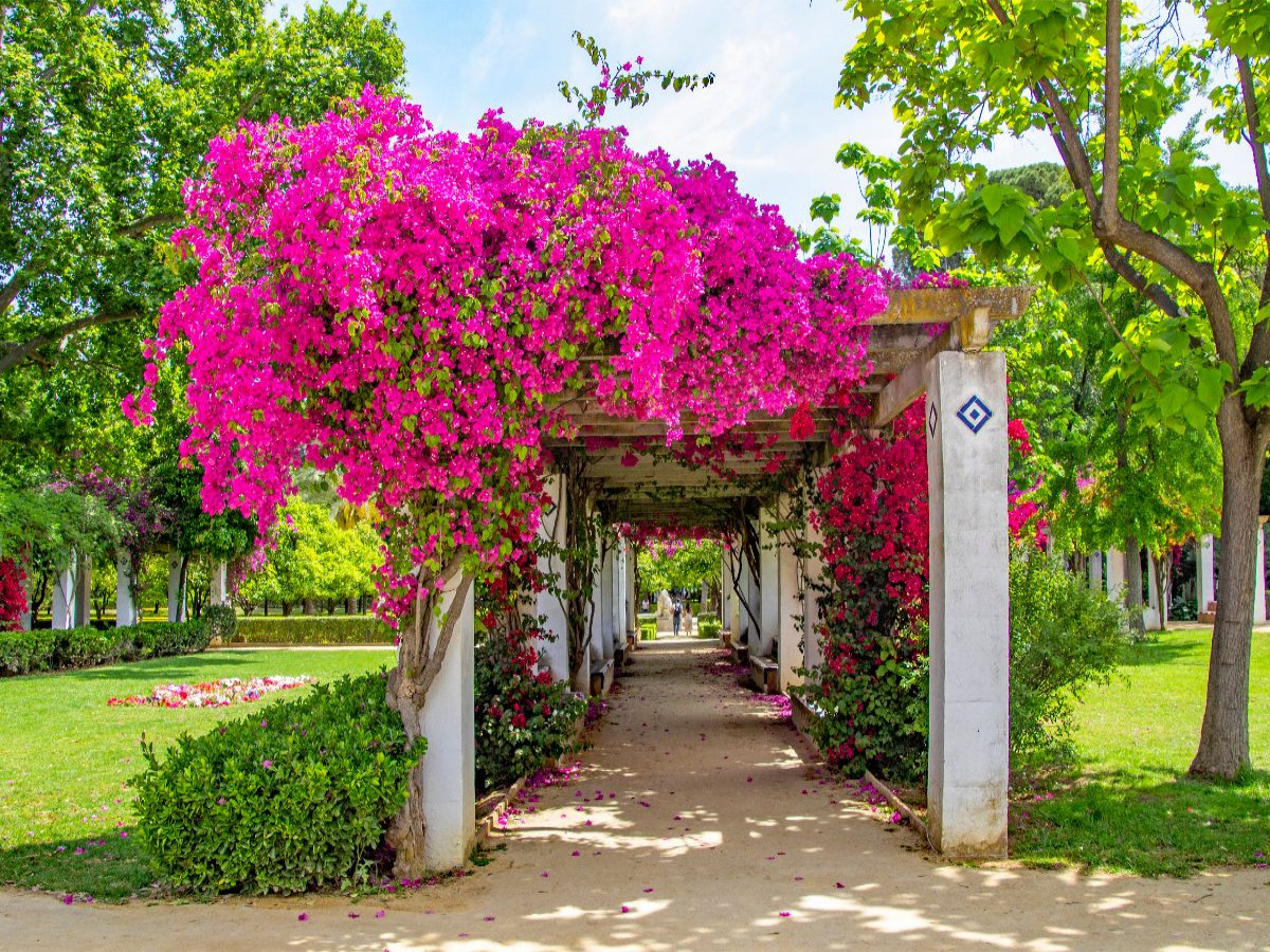 Blumenpracht im Park Maria Luisa