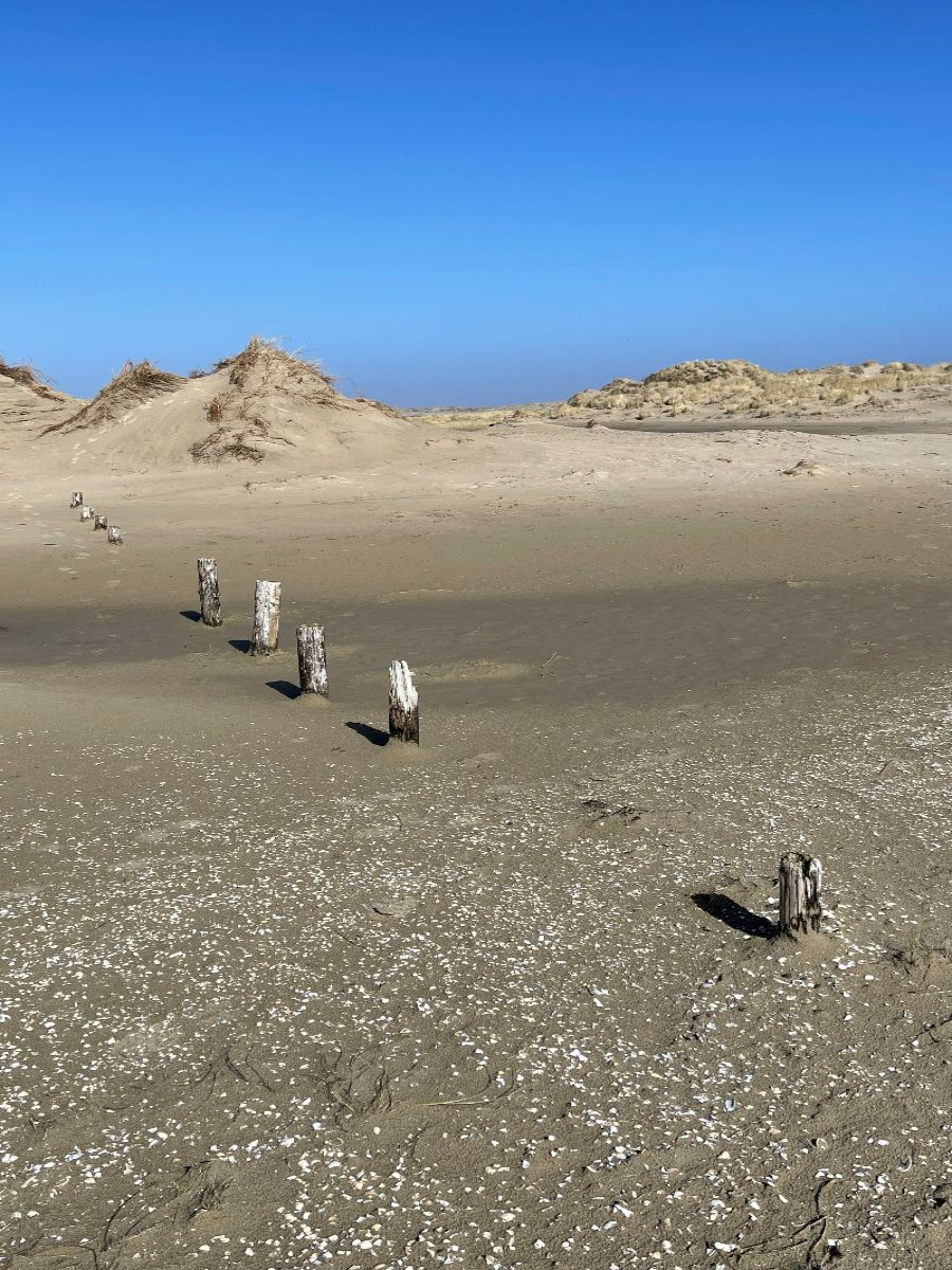 Weite Dünenlandschaft in Nordfriesland
