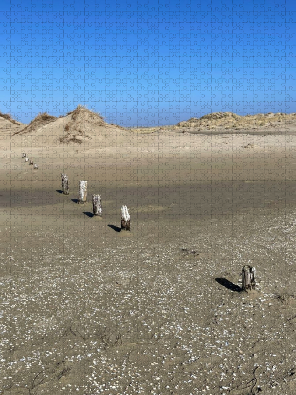 Weite Dünenlandschaft in Nordfriesland