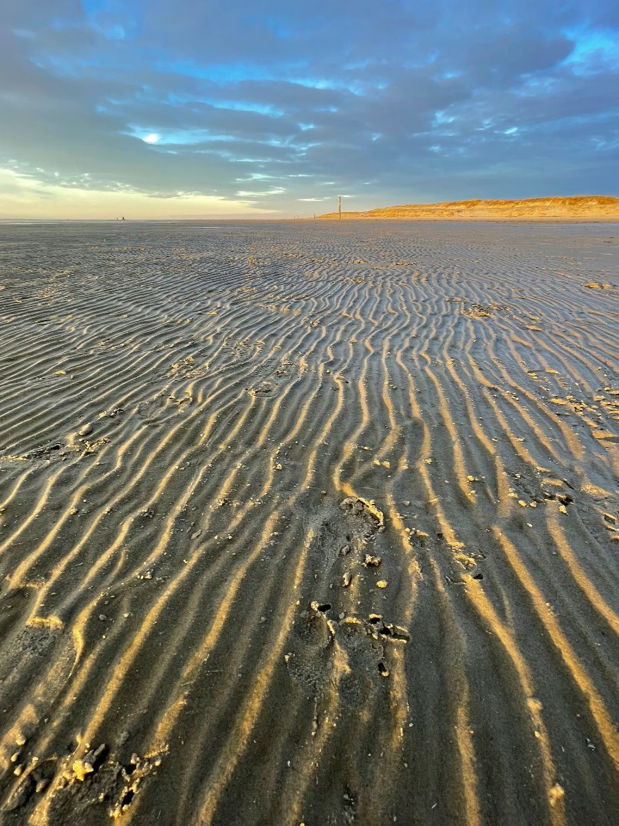 Kleine Wasserkanäle im Abendlicht am Ordinger Strand