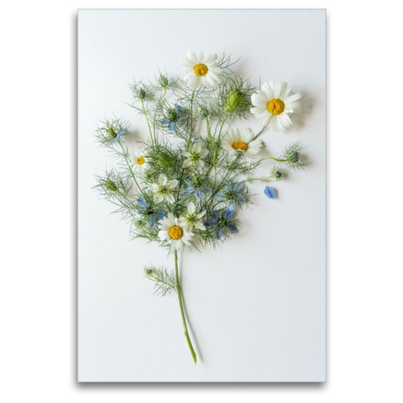 Tanz der Wildblumen