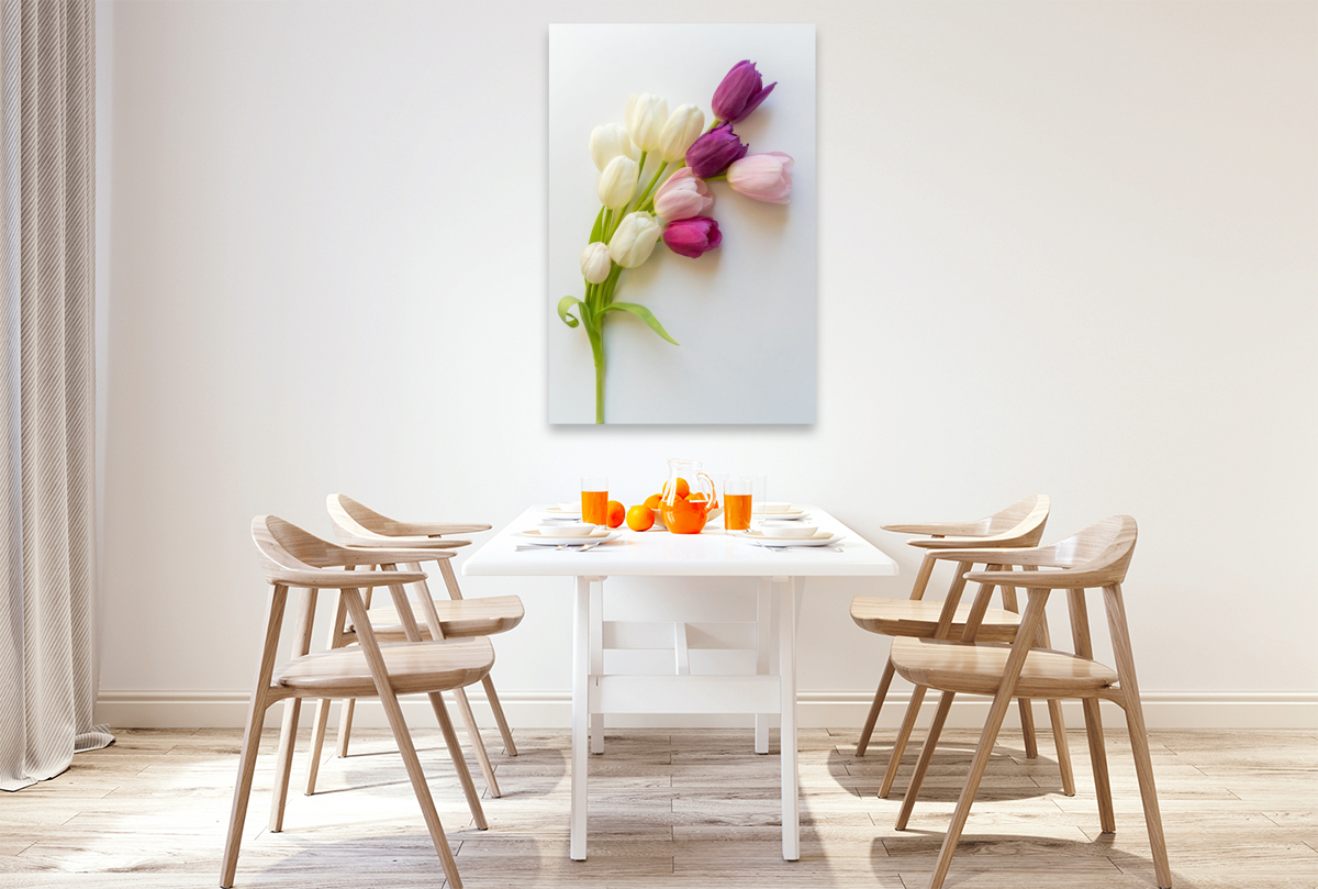 Tulpenzauber
