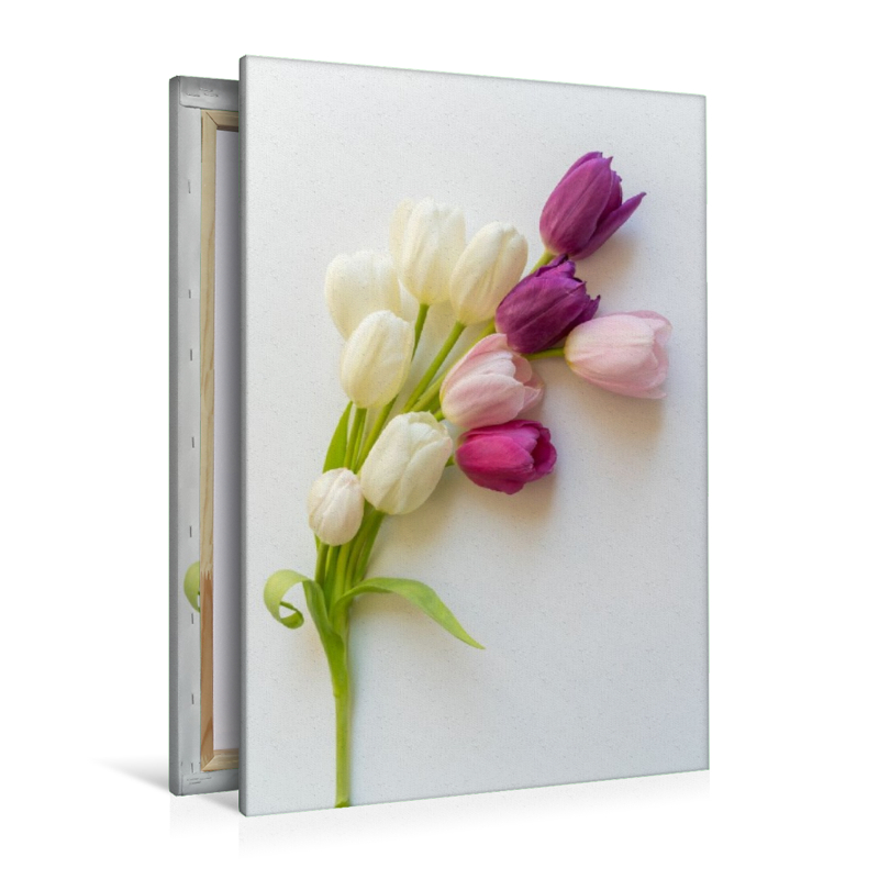 Tulpenzauber
