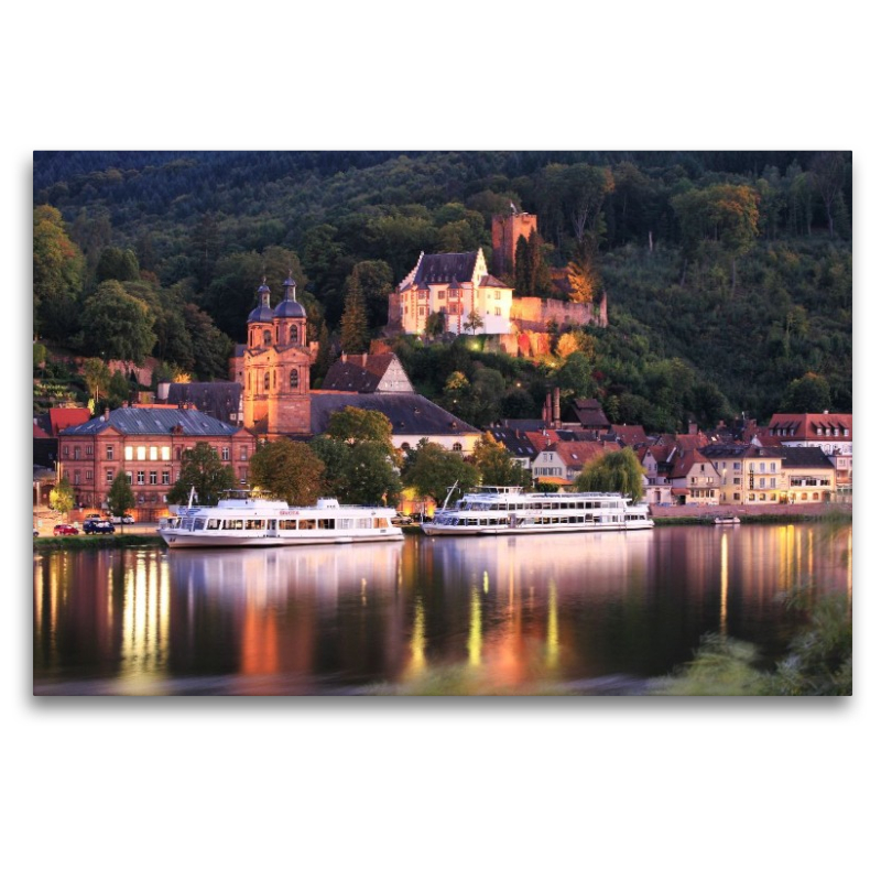 Blick über den Main auf Miltenberg mit der Mildenburg