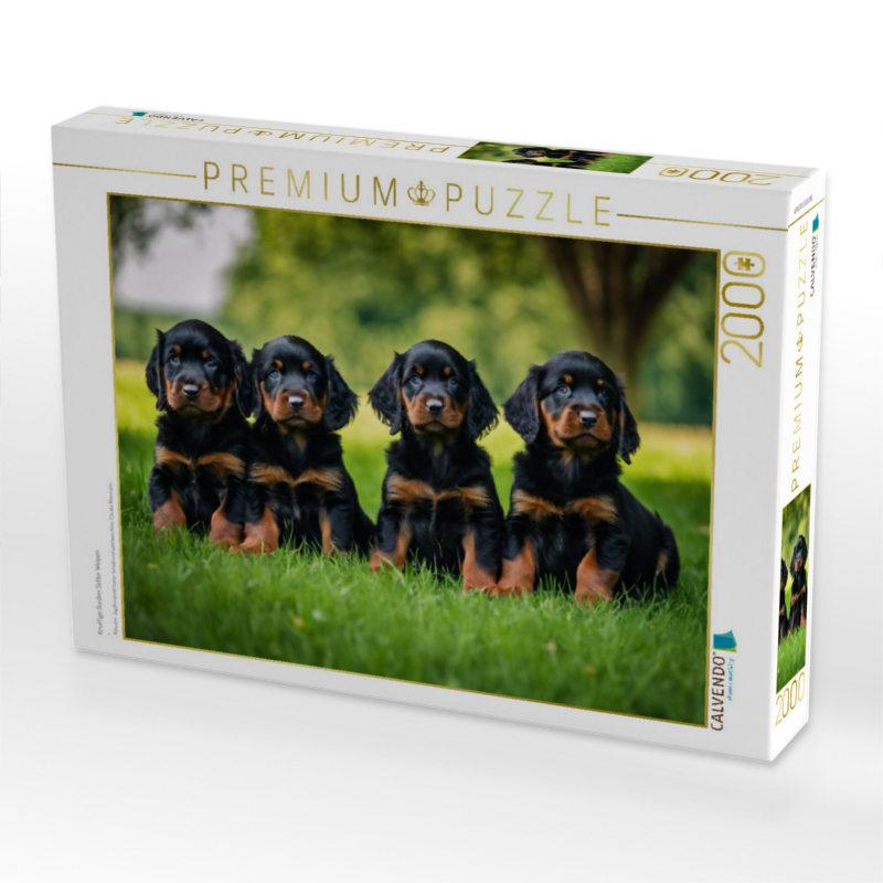 Knuffige Gordon Setter Welpen