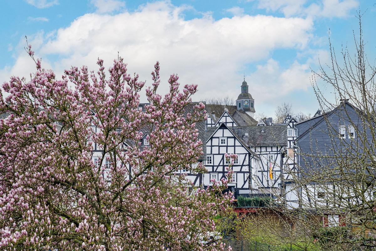 Blick von der Gartenstraße