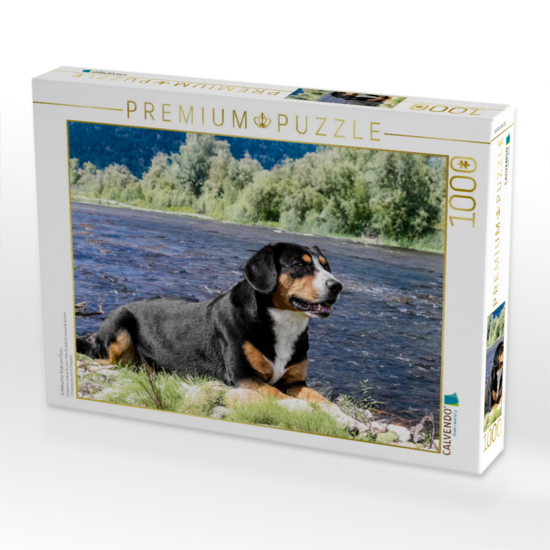 Entlebucher Rüde am Fluss