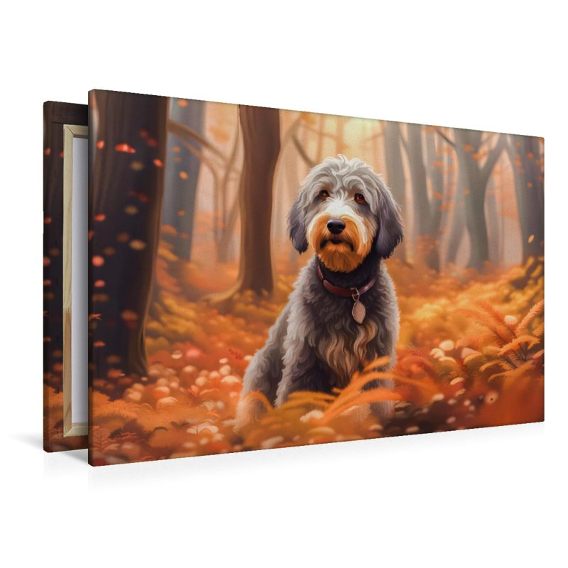 Aussiedoodle im Herbstwald