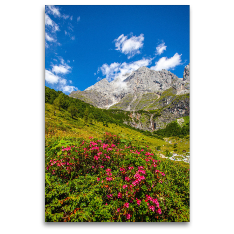 Blühender Almrausch auf der Riedingalm