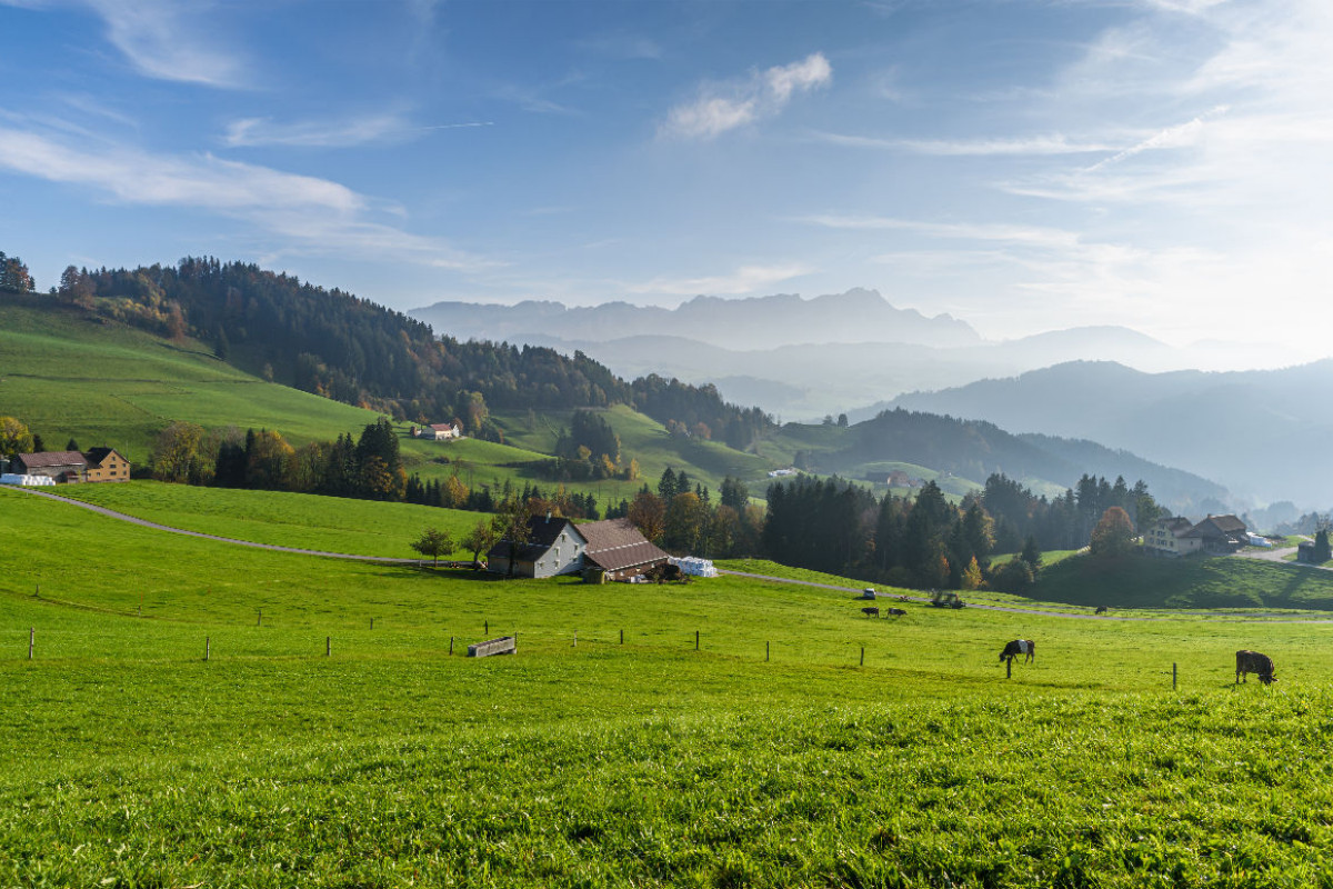 Almwiesen mit Blick zum Alpstein in der Schweiz