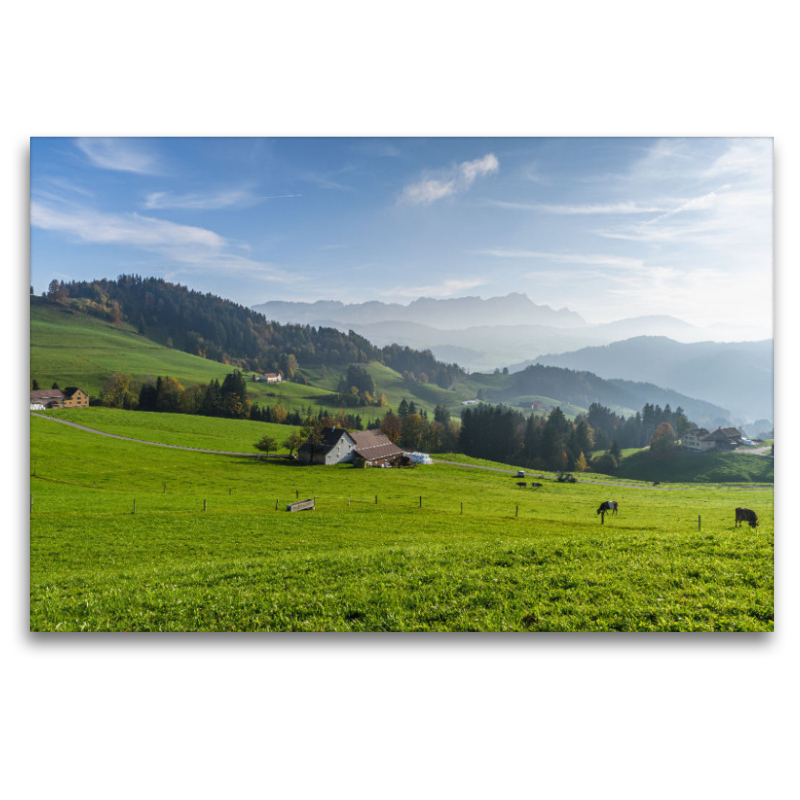 Almwiesen mit Blick zum Alpstein in der Schweiz