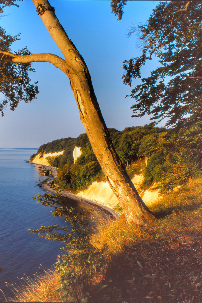 Aus dem Kalender MECKLENBURG-VORPOMMERN.Du bist so schön - Hochformat