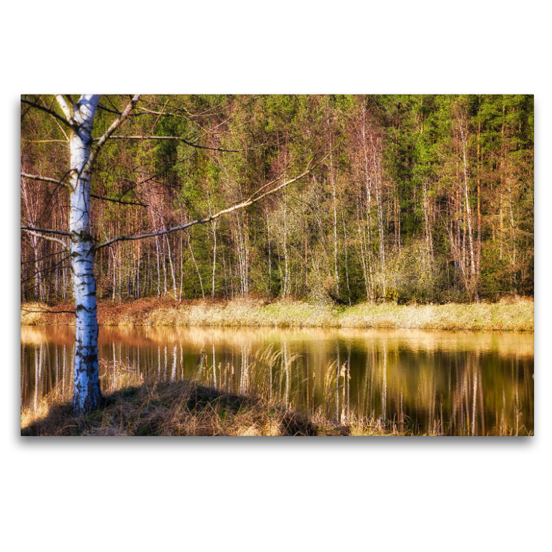 Idyllischer Waldsee