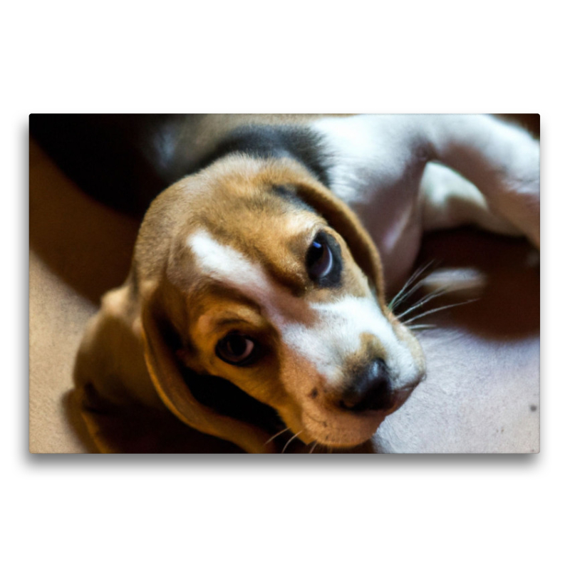 Ein Bild aus dem Puppy Portraits-Kalender