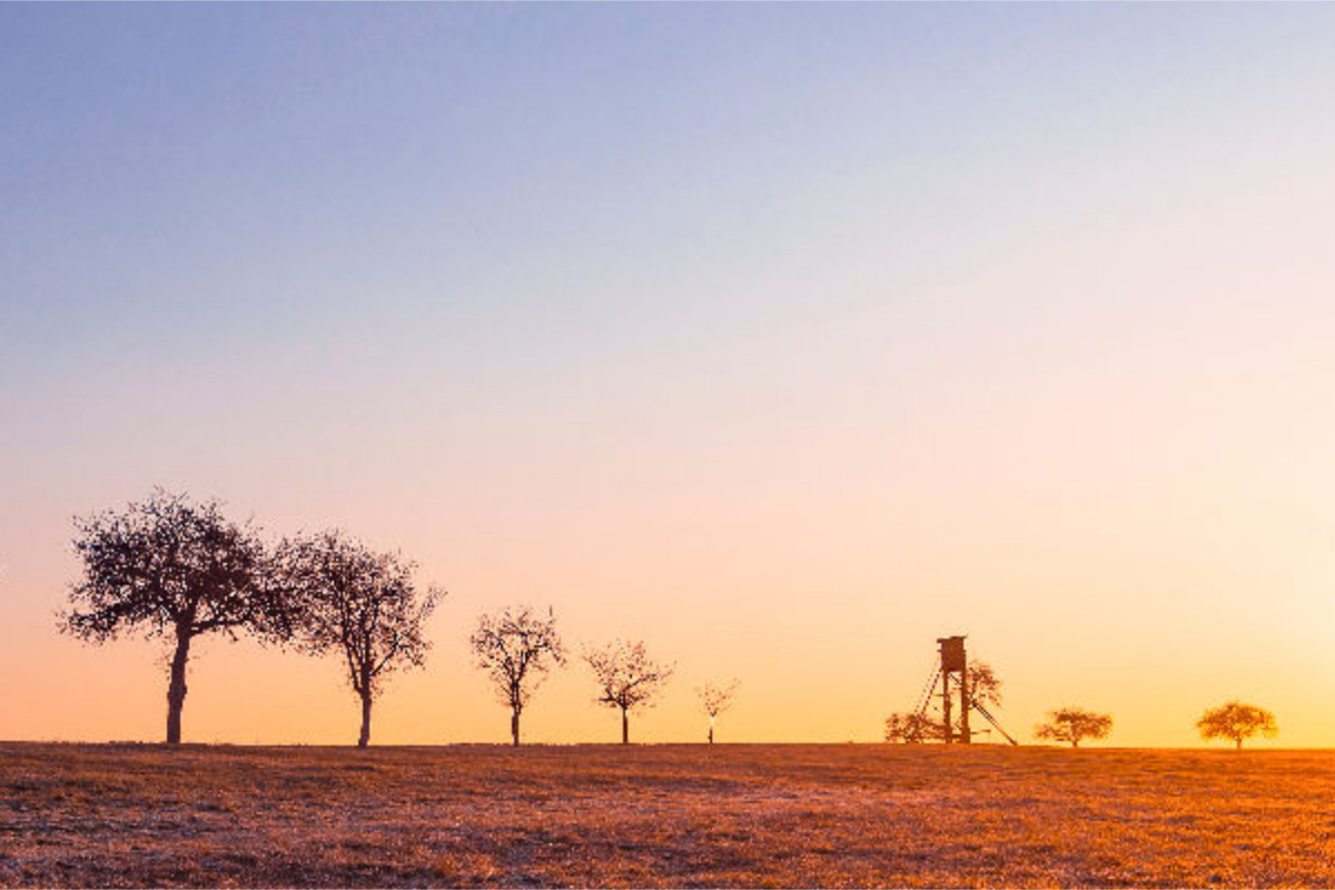 Sonnenaufgang über den Feldern