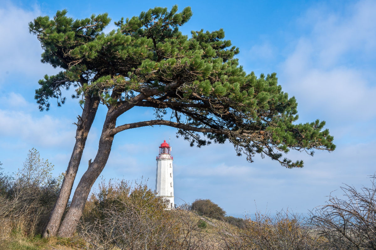 Leuchtturm Dornbusch