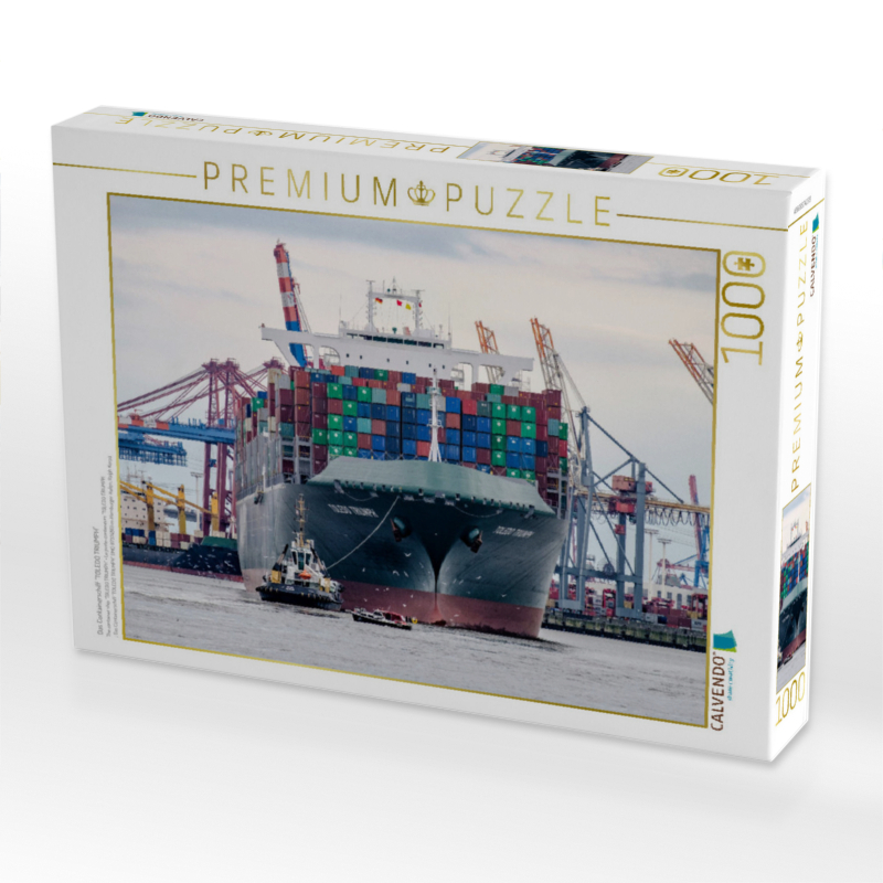 Das Containerschiff 'TOLEDO TRIUMPH'