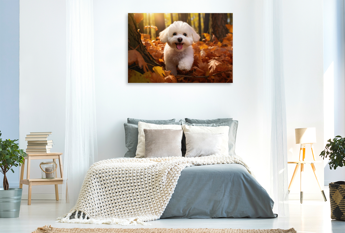 Ein Motiv aus dem Kalender 'Bichon frisé, weiße Hündchen mit lockigem Haar'