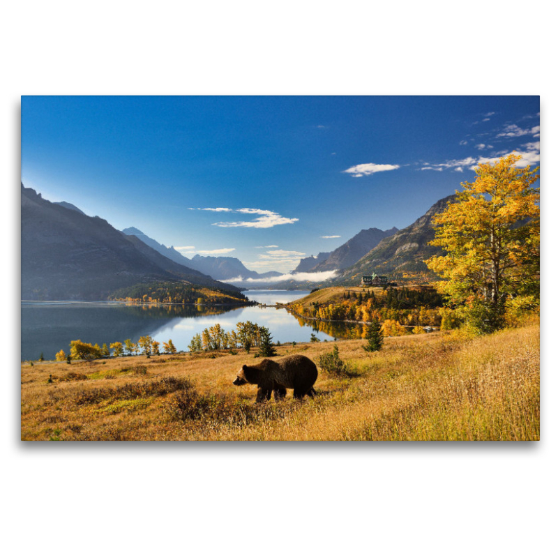 Der Waterton Lakes National Park, gelegen im Süden der Provinz Alberta, ist die Heimat einer großen Bärenpopulation.