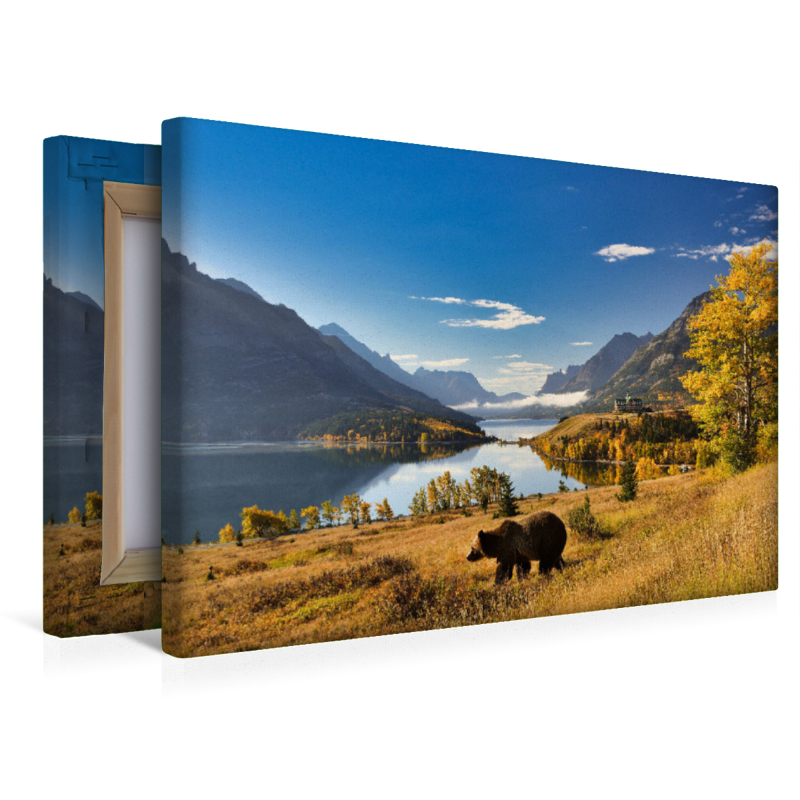 Der Waterton Lakes National Park, gelegen im Süden der Provinz Alberta, ist die Heimat einer großen Bärenpopulation.