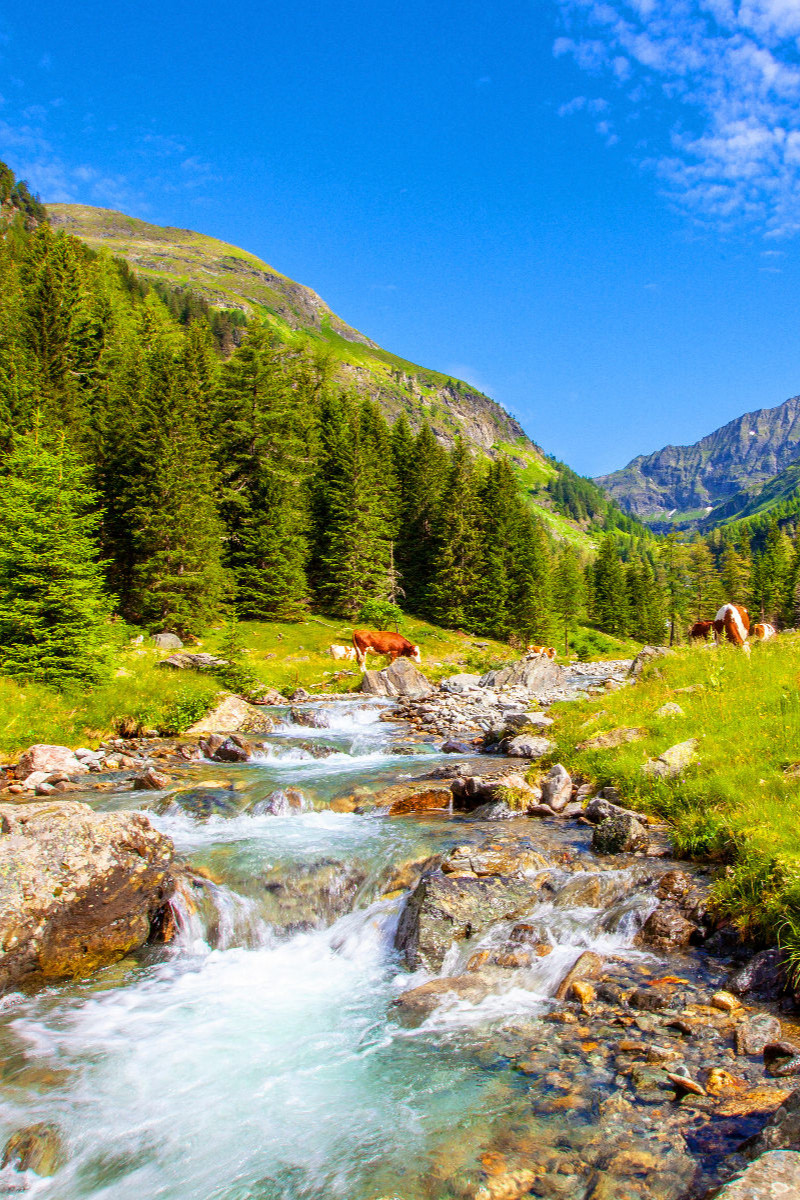 Der Göriachbach im schönen Almgebiet