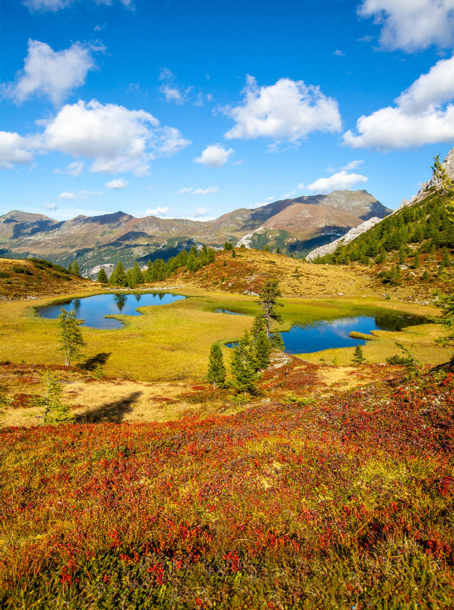 Herbstzauber am Wildalmsee in Tweng