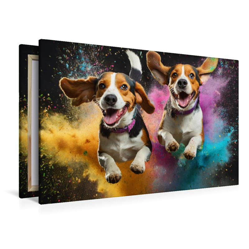 Zwei Beagle springen in einer bunten Holi Pulver Farbwolke