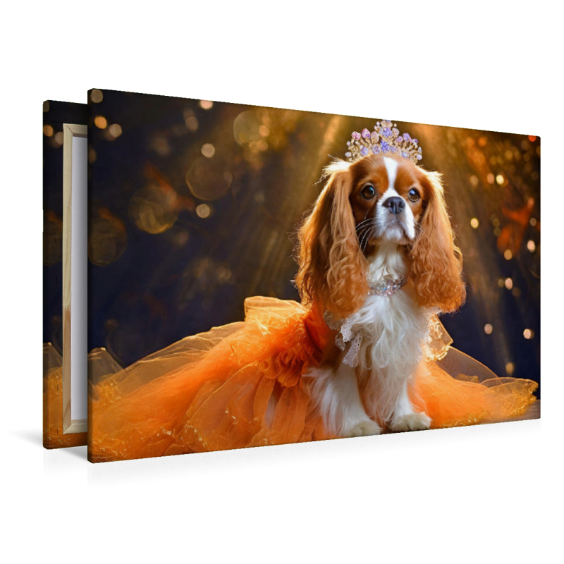 Cavalier King Charles Spaniel trägt orangefarbenes Abendkleid mit Tüll und Krone