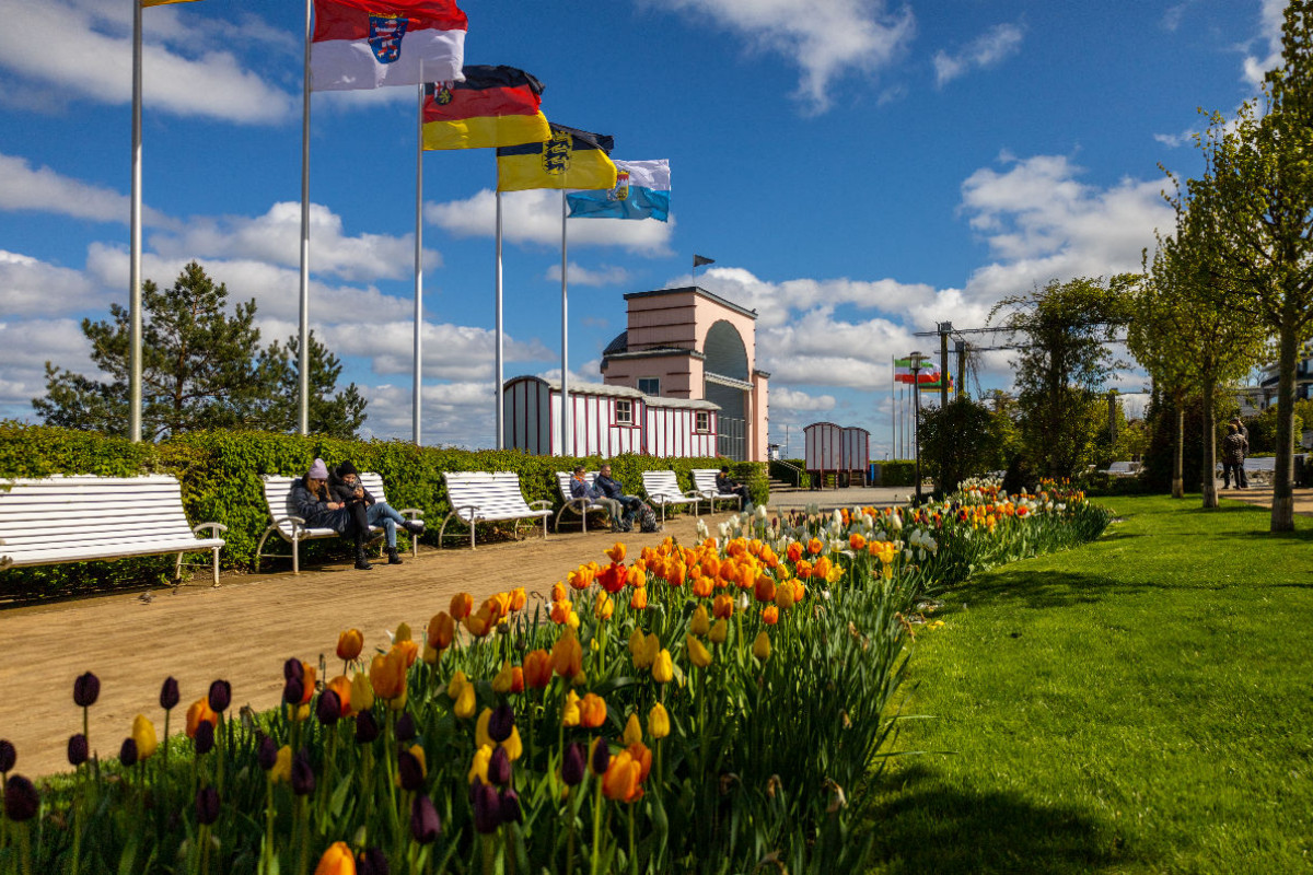 Frühblüher im Bansiner Kurpark