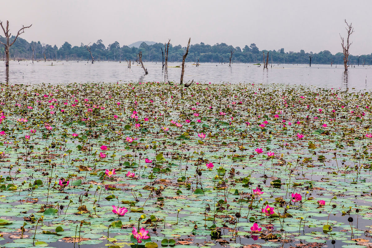 Neak Pean Temple/Das Ufer der inneren Tempelinsel