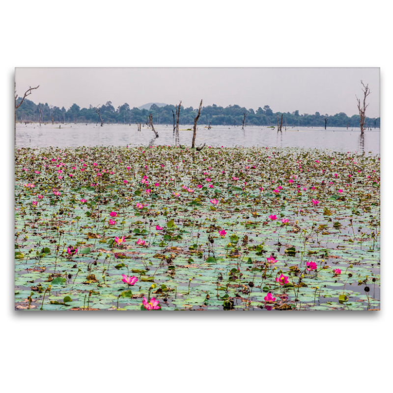 Neak Pean Temple/Das Ufer der inneren Tempelinsel