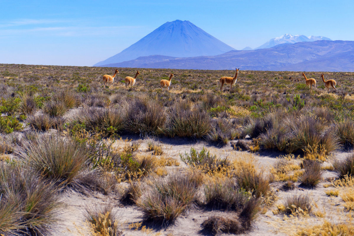 Nationalpark Salinas y Aguada Blanca