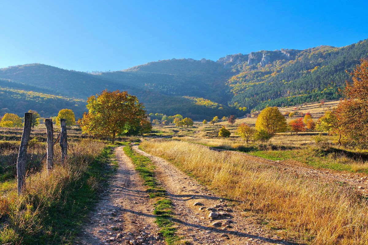 Landschaft im Trascau-Gebirge