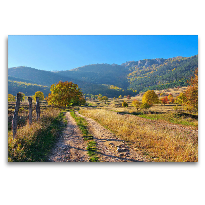 Landschaft im Trascau-Gebirge