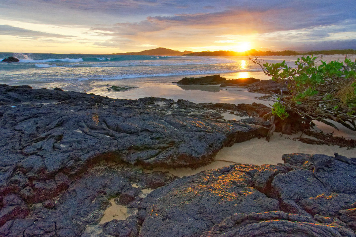 Puerto Villamil Galapagos