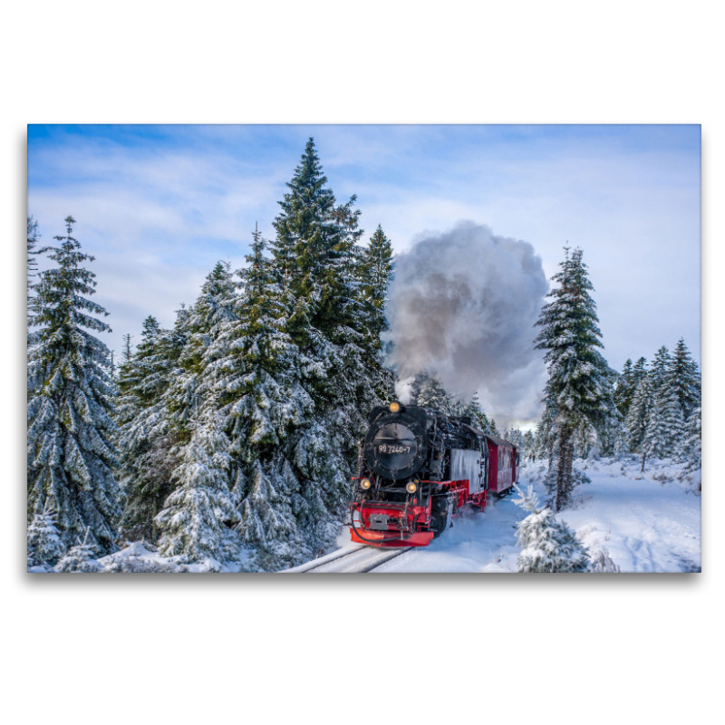 Die Brockenbahn am Goetheweg