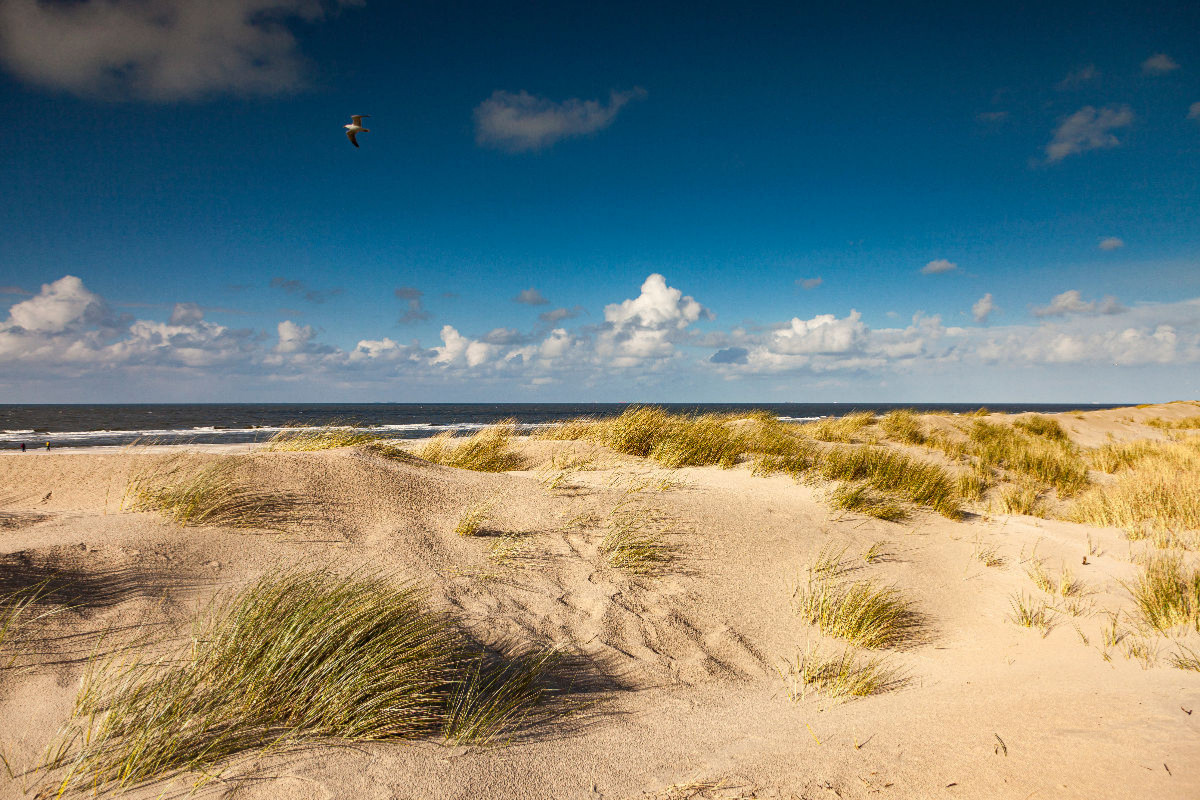 Dünenlandschaft Spiekeroog