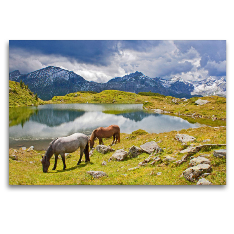 Zwei Pferde am Krummschnabelsee in Obertauern