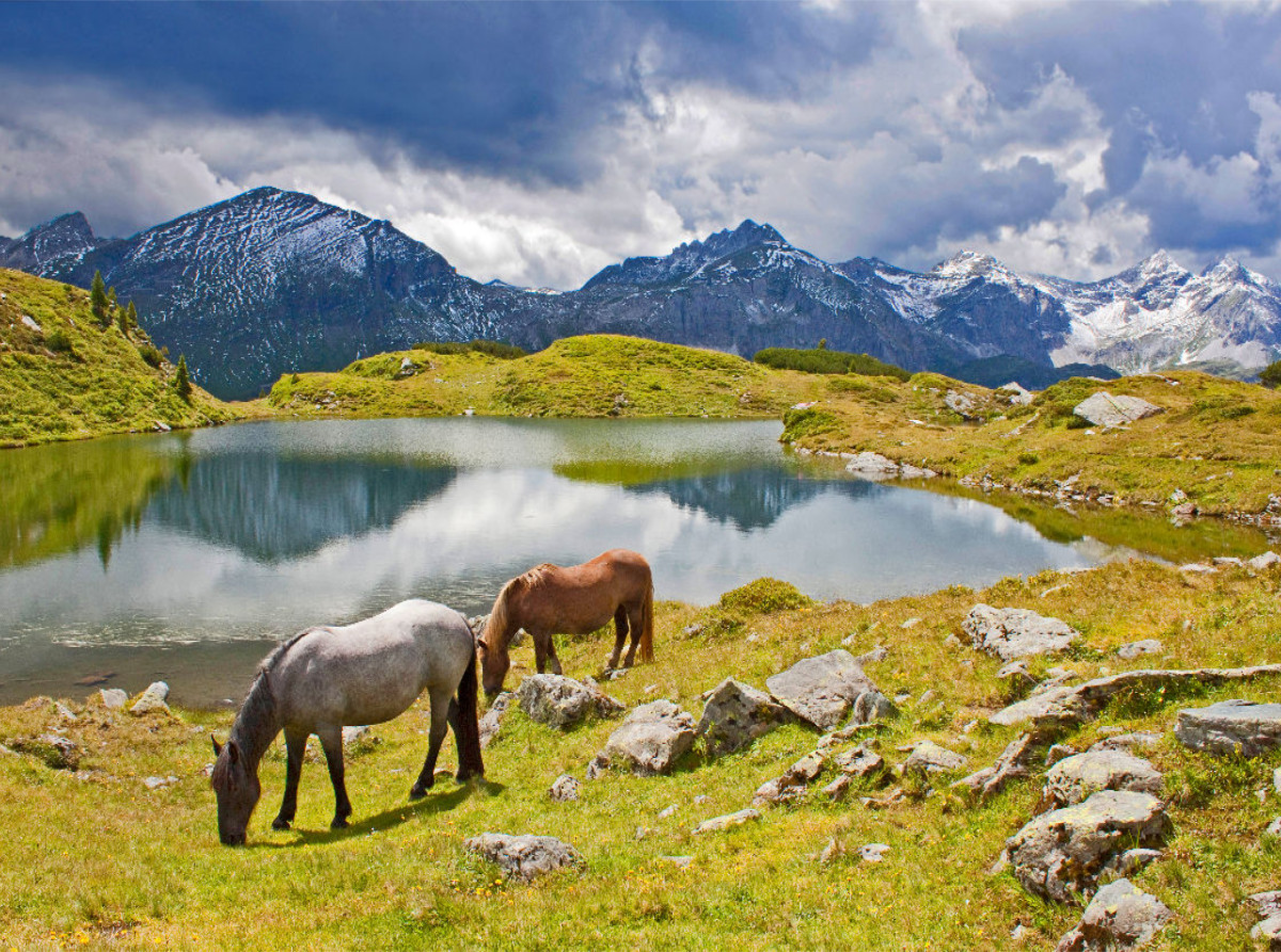 Zwei Pferde am Krummschnabelsee in Obertauern