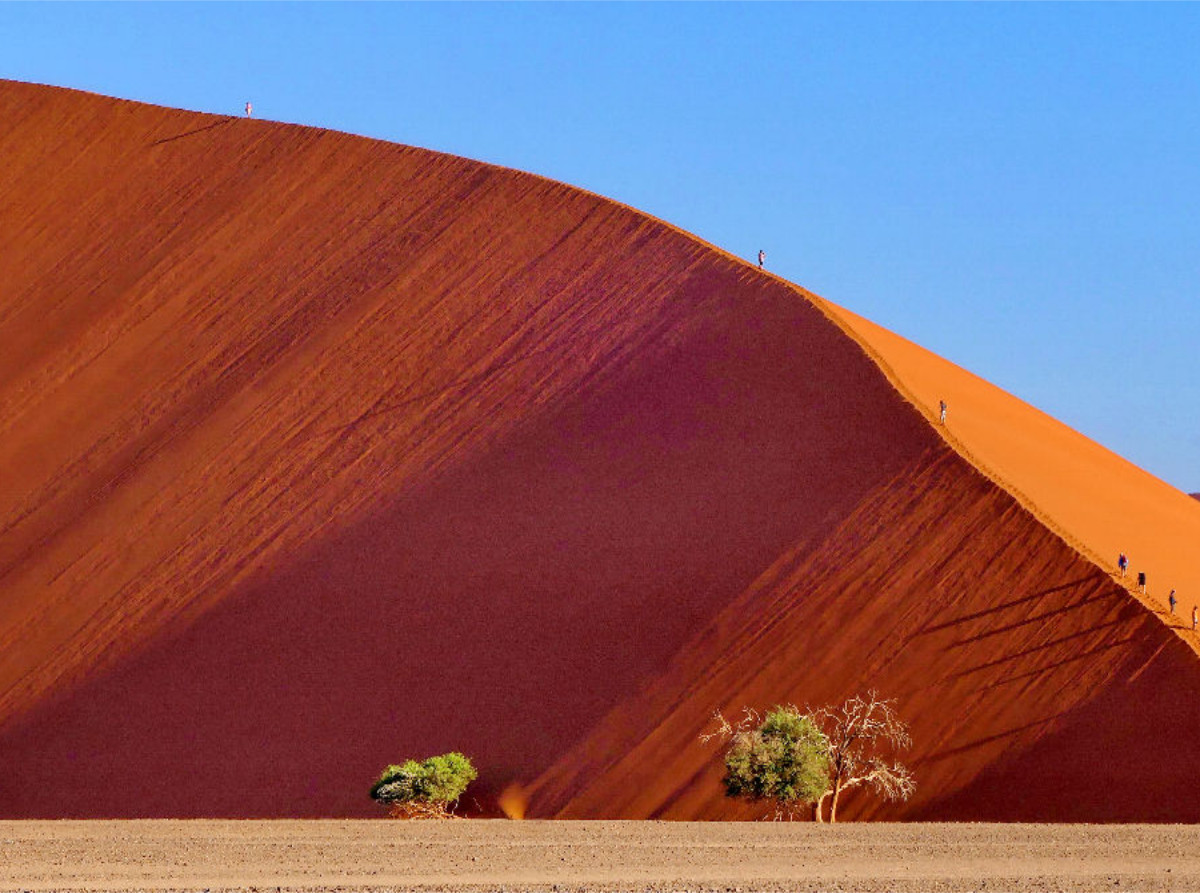 Düne 45 Sossusvlei