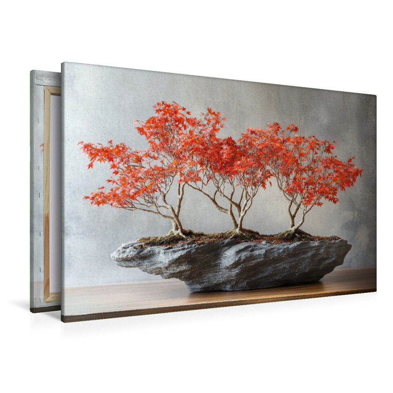 Lebenskunst in Miniatur - Bonsai