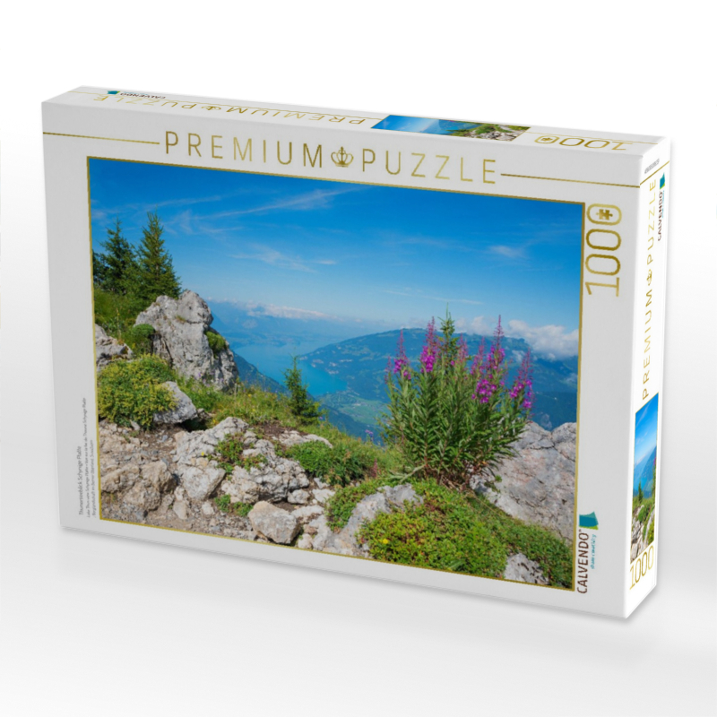 Thunerseeblick Schynige Platte