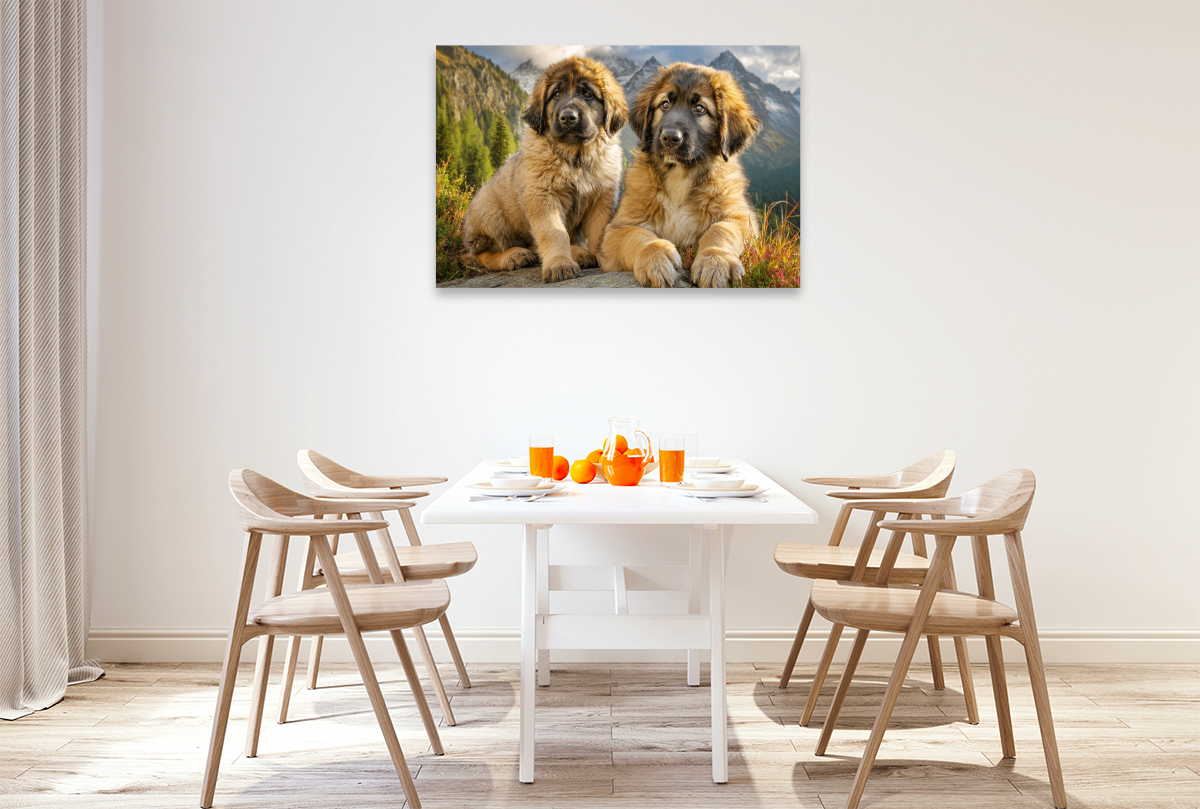Süße Leonberger Welpen