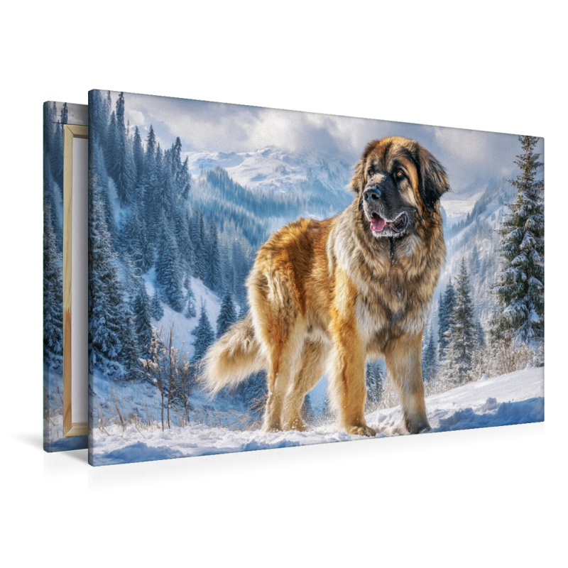 Leonberger im Schnee