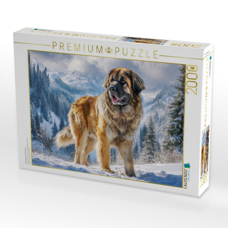 Leonberger im Schnee