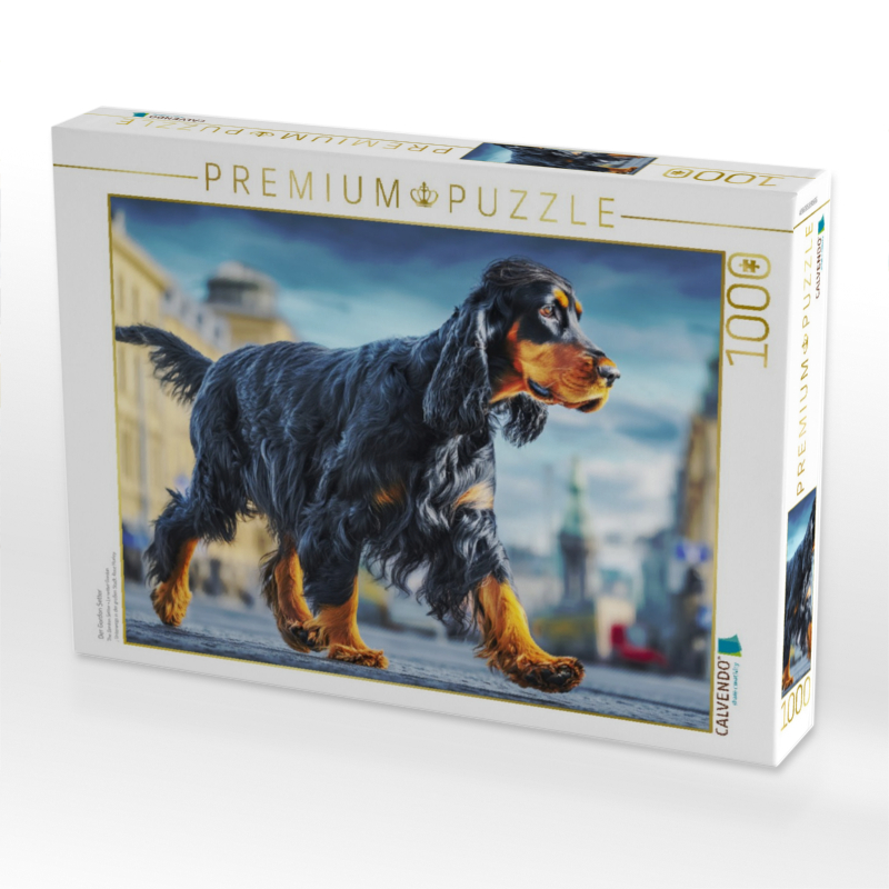 Der Gordon Setter