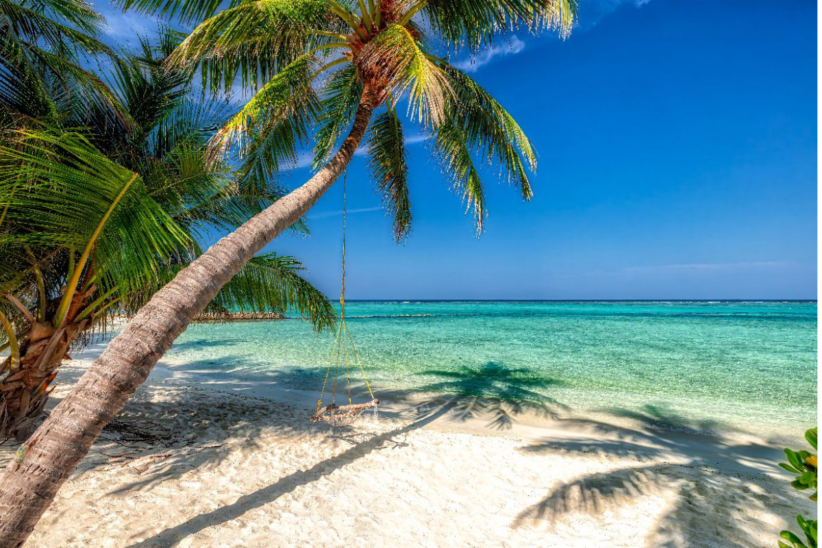 Weißer Palmenstrand auf den Malediven