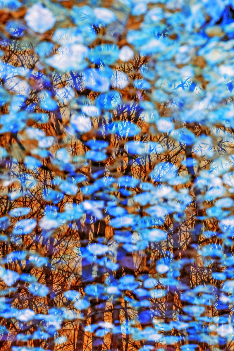 Blaues Flüstern auf goldener Haut