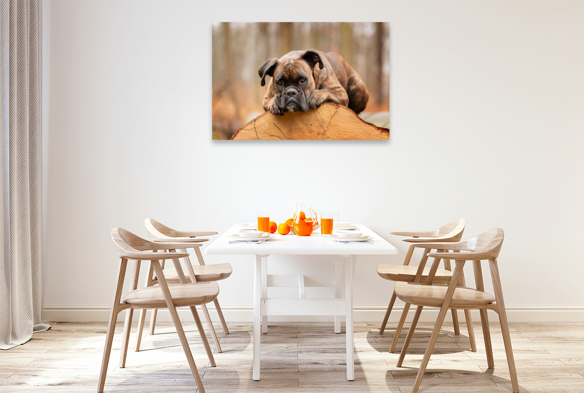 Der Boxer und das Holz der Zeit